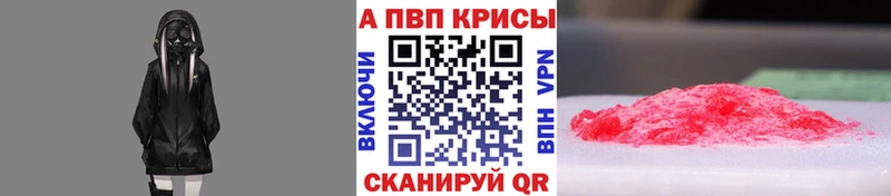 A PVP СК КРИС Саранск